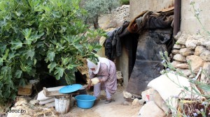في حديقة أحد البيوت في بلدة بيت فوريك، بقي هذا الطابون صامداً من أيام كان فيها وجوده أساسياً في كل بيت ريفي.