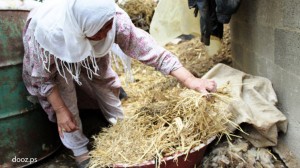 فضلات الحيوانات، أو القصل كما تفعل أم خالد التي تعمل في  "بداية" مكانس القش. تشعلها فوق الطابون ويبقى طوال الليل ليكون جاهزاً في الصباح.
