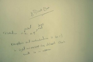 "صباح المكياج" عنوان مناسب لقصص من حياة فتيات كثيرات، والتي قد تكون رتيبة وروتينية وأحيانا تفتقر إلى العمق والمعنى.