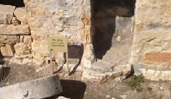 تشاهد على قمة جبل جرزيم آثاراً لمعصرة زيتون قديمة