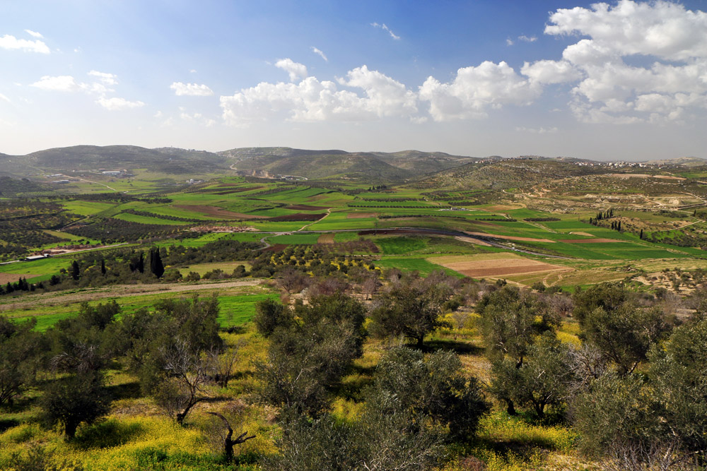 نابلس المحطة الأخيرة لخط الحجاز بفلسطين، إذ كان القطار يصلها من عكا مروراً بحيفا فالعفولة
