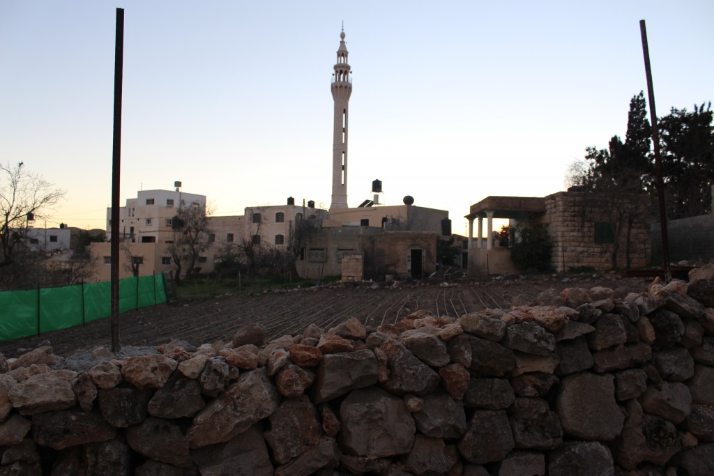 جالود قرية زراعية بامتياز