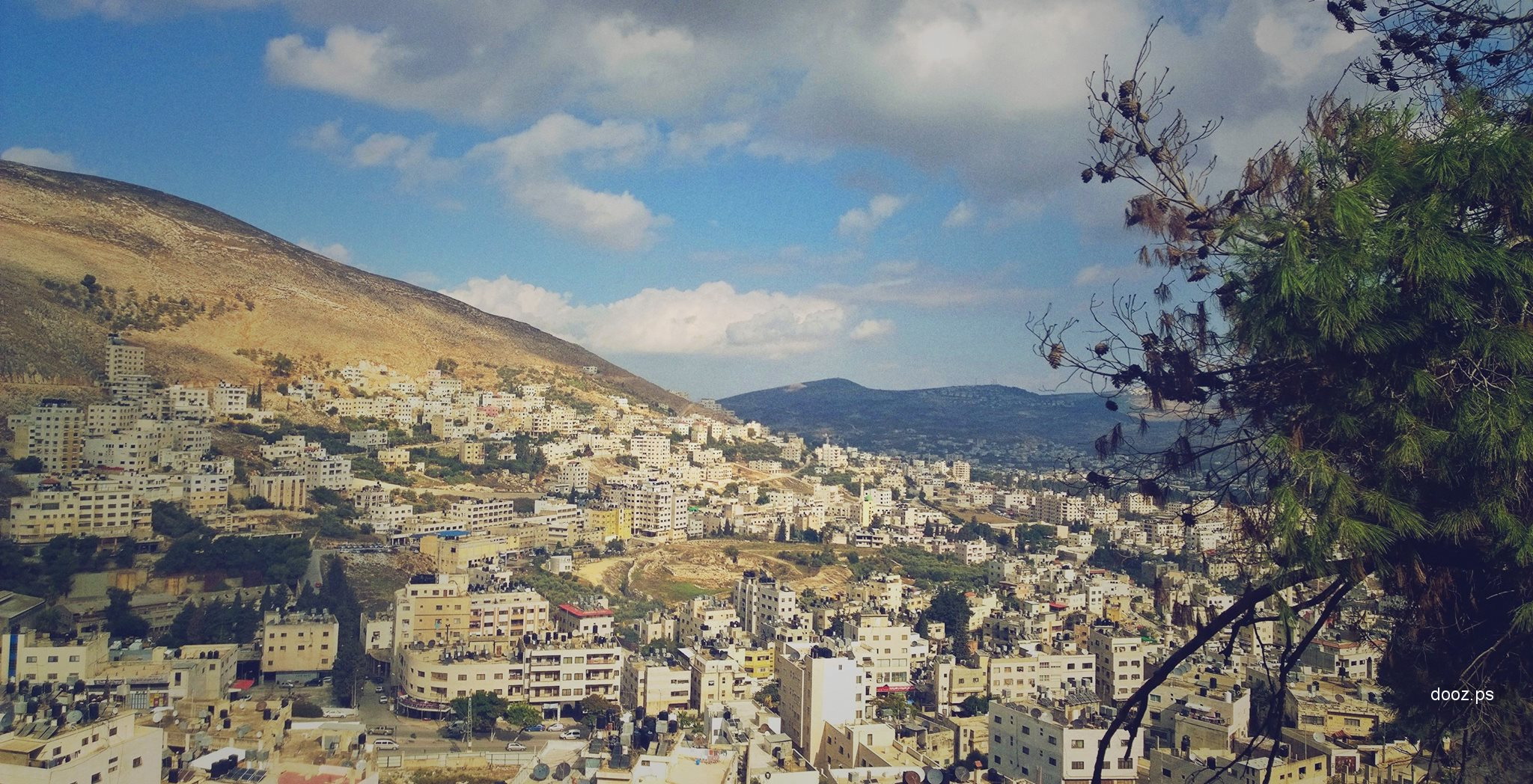 نابلس مدينة إياد مصطفى