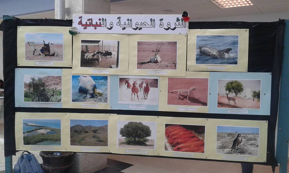 معرض الإمارات6