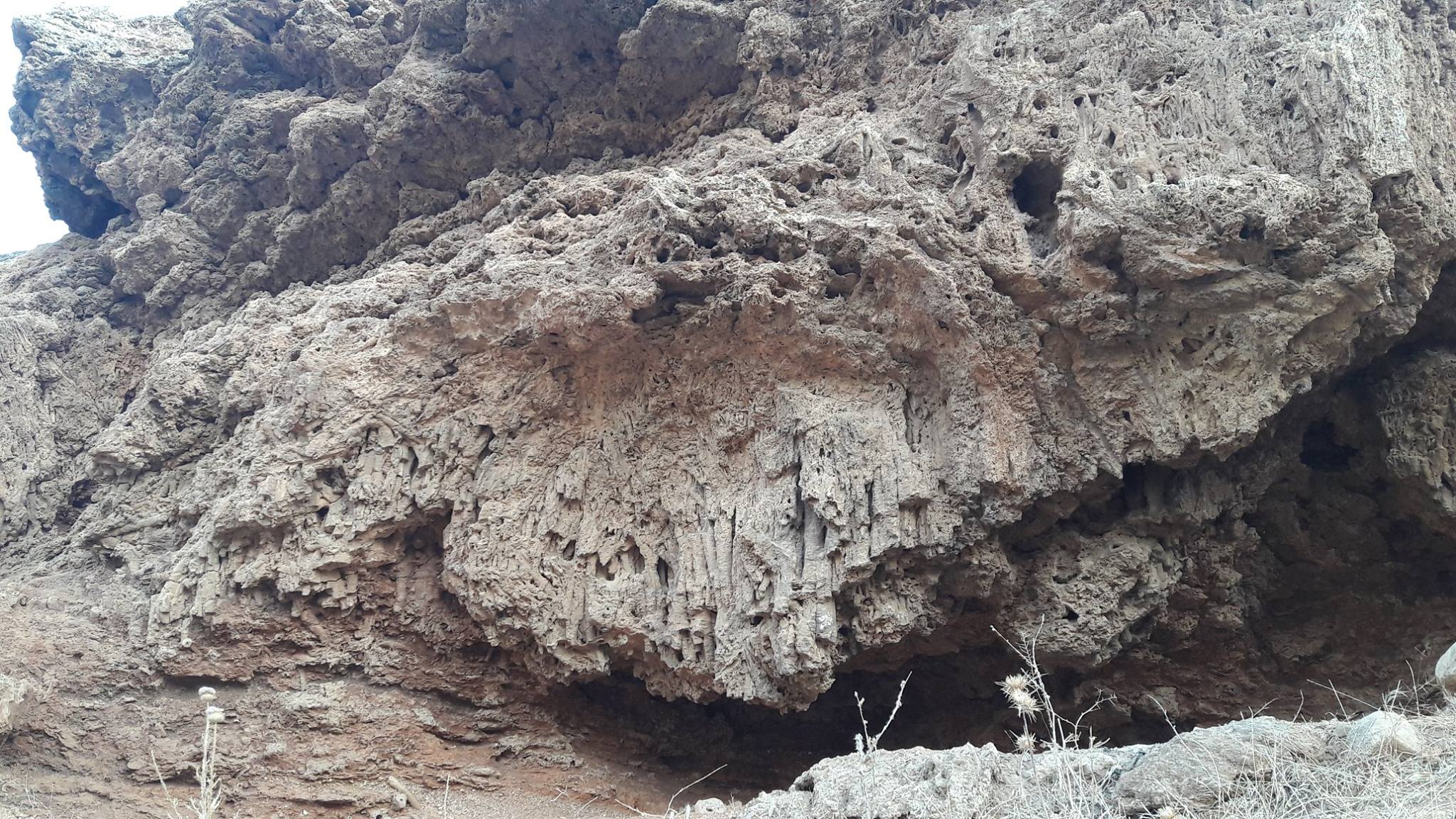 عين أم عمير
