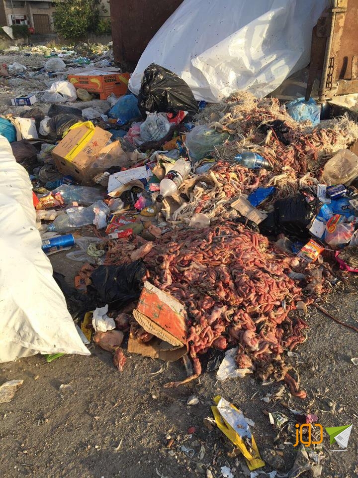 نفايات5