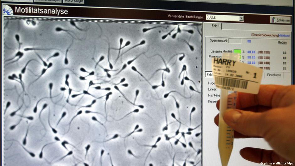 semen-sperma-1.jpg (73 KB)