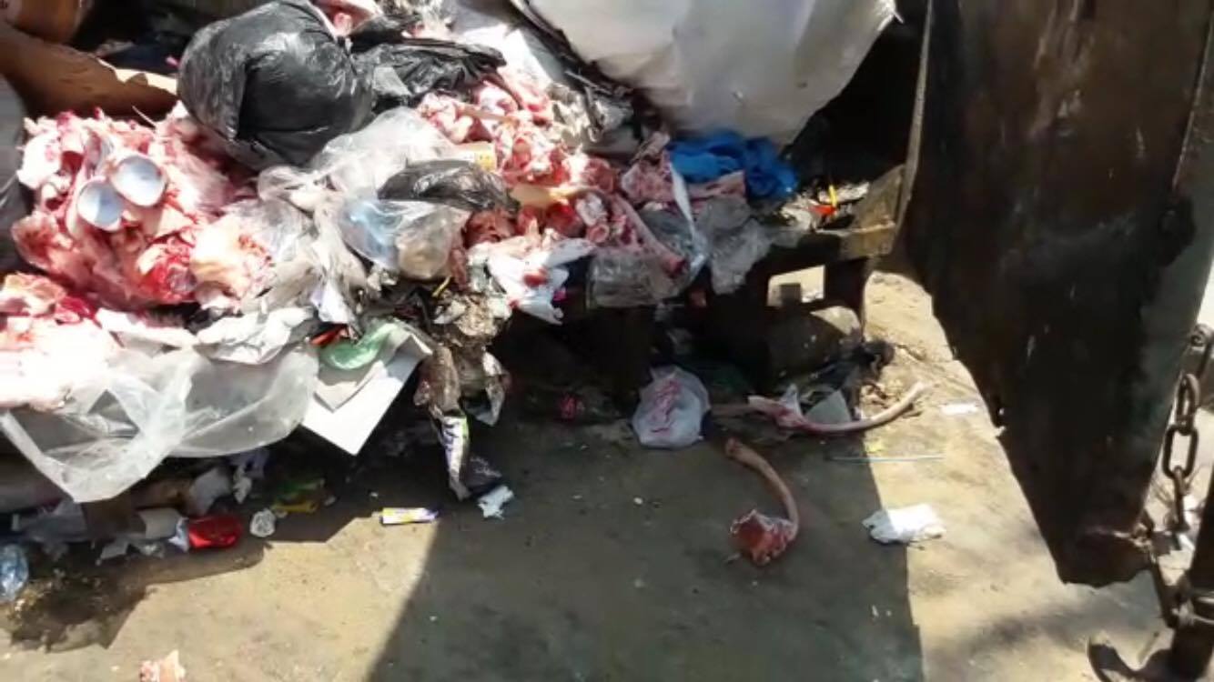 zbala1_10155669612077250_1018755779_o.jpg (95 KB)