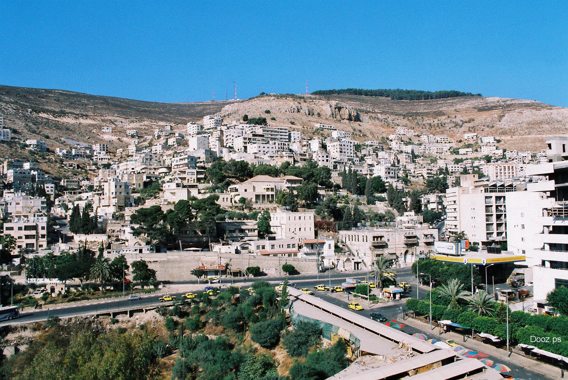 وظيفة شاغرة في نابلس