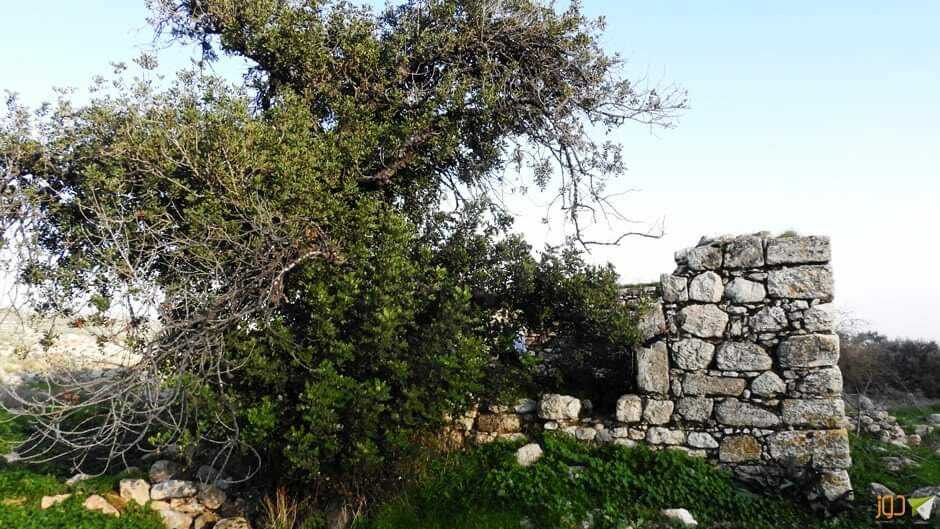نابلس.. مبادرة لترميم بيت الولي التاريخي في طانا 