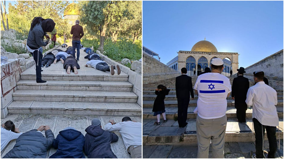 مستوطنون يقتحمون الأقصى