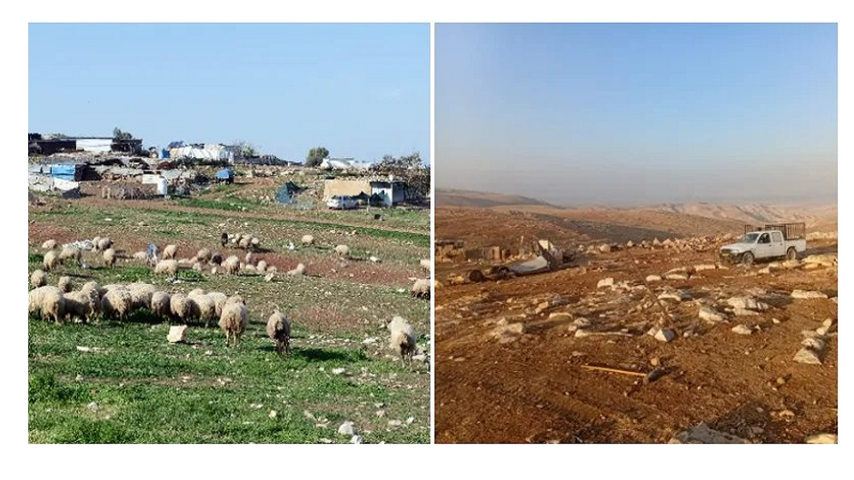 Sheep-herding