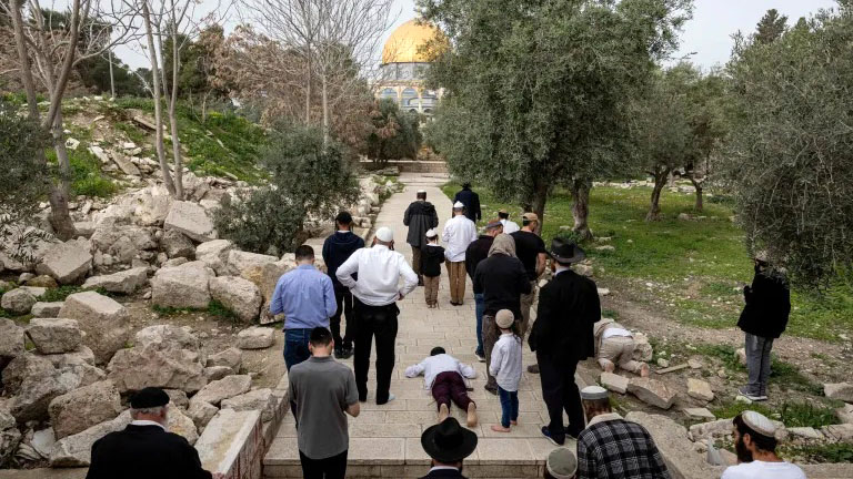 مئات المستوطنين يقتحمون الأقصى والجيش يقيّد دخول الفلسطينيين